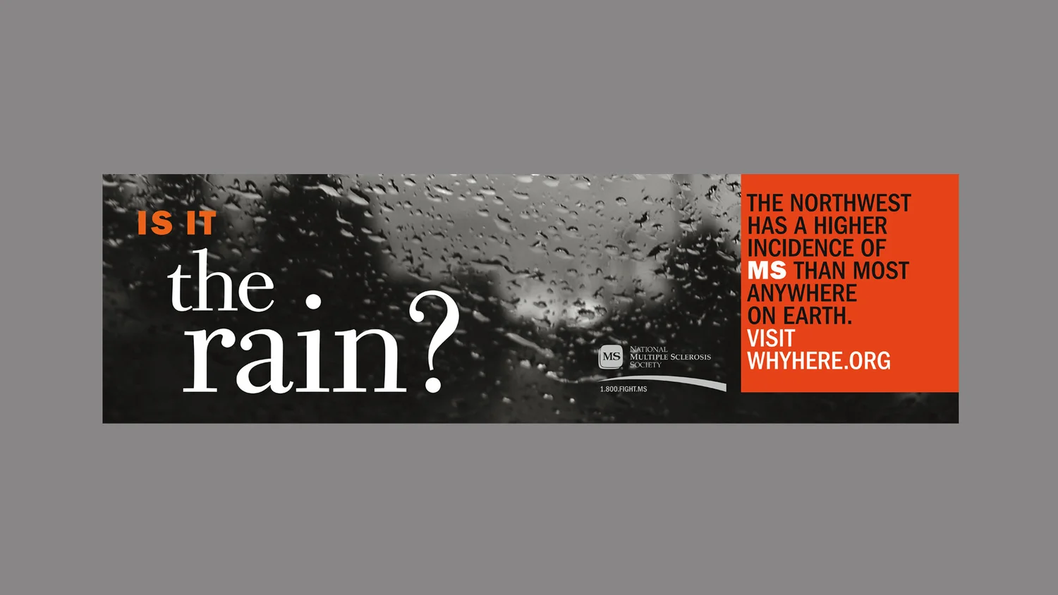 Northwest MS Society concept and art direction by Lonnie Weis.