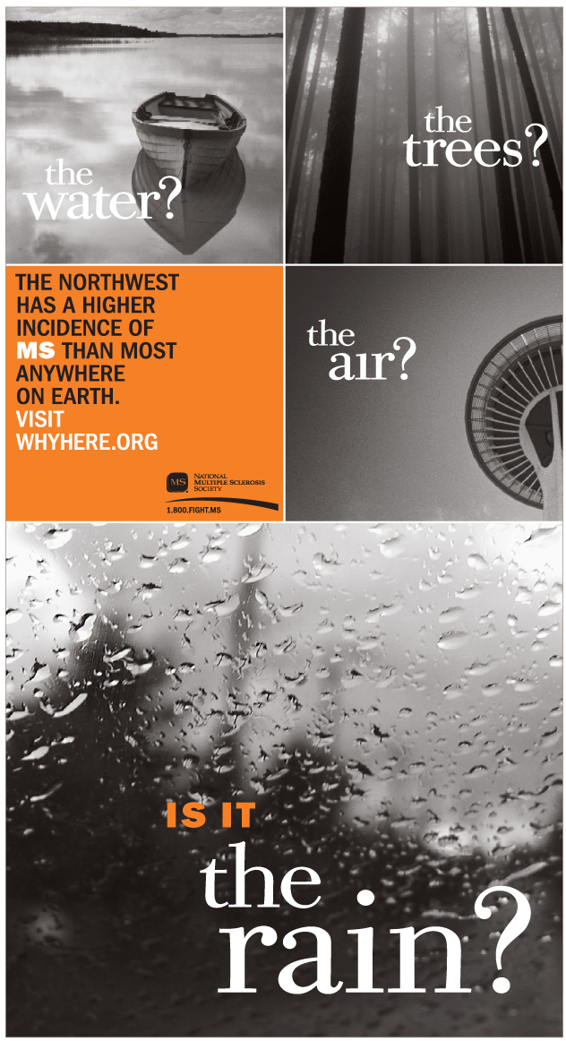 Northwest MS Society concept and art direction by Lonnie Weis.